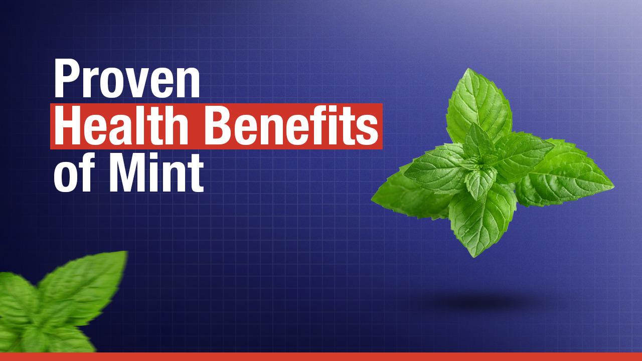 Health Benefits of Mint: A Festive Season Super Herb