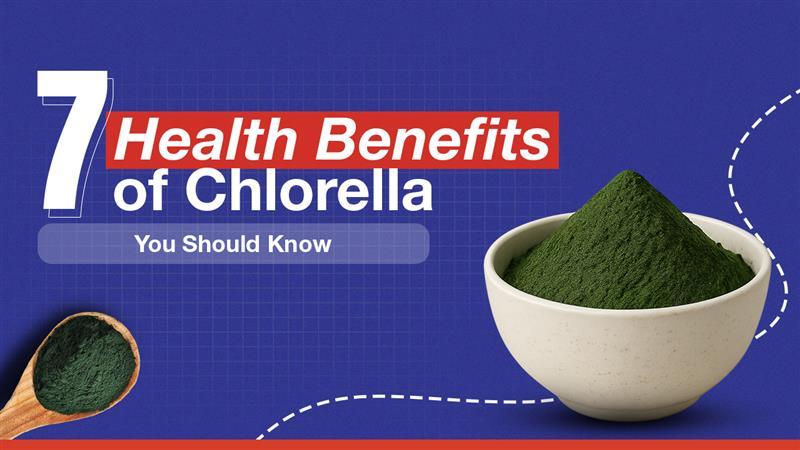 Top 7 Health Benefits of Chlorella You Should Know