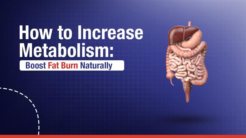 How to Increase Metabolism: Boost Fat Burn Naturally?