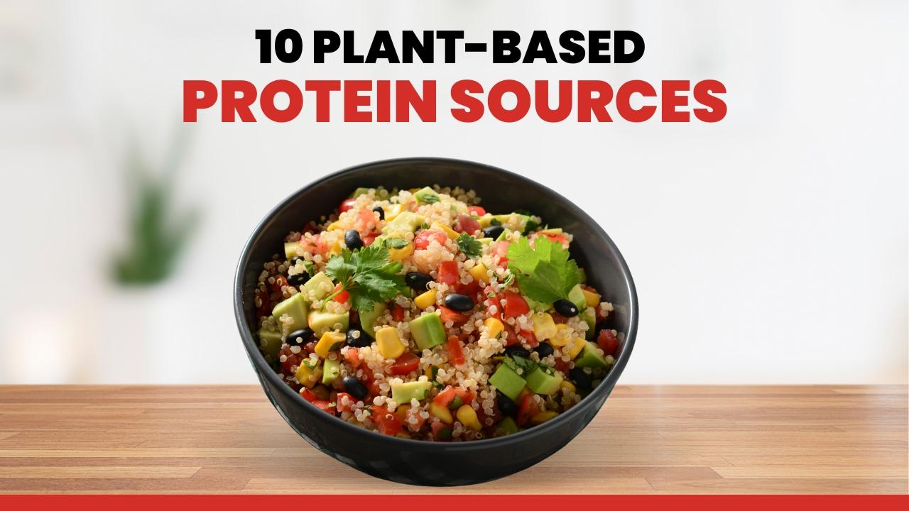 Top Plant-Based Protein Sources for a Healthy & Balanced Diet