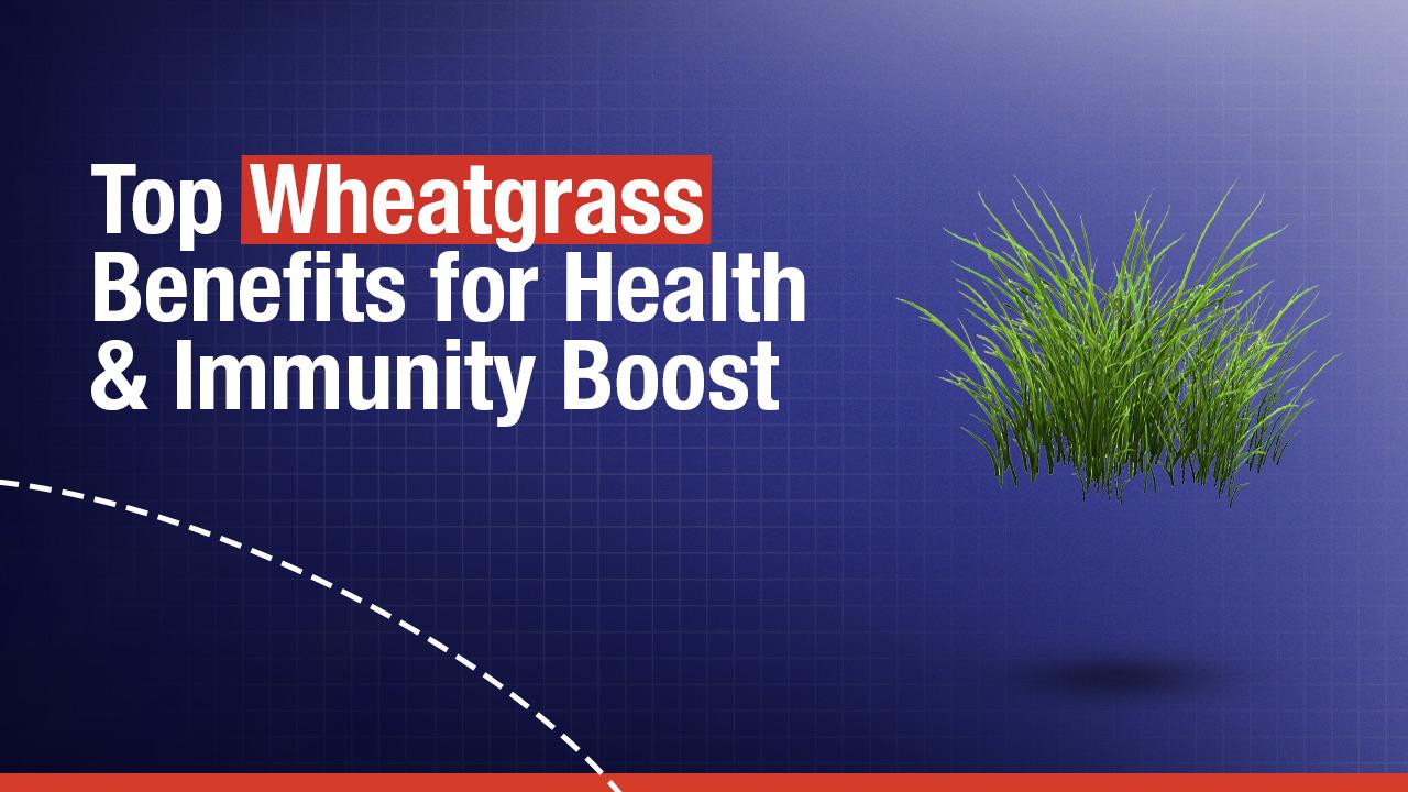 Top Wheatgrass Benefits for Health & Immunity Boost