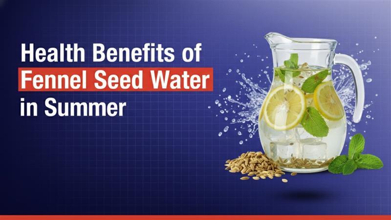 Amazing Health Benefits of Fennel Seed Water in Summer